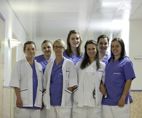 Tandläkarna Evelina Emmoth, Joanna Panek, Veronica Laestadius, Joana Vicente, Carina Paula, Sara Melo och Patricia Machado går alla handledningsprogrammet.
