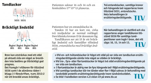 Tandluckor och Bräckligt ändstöd