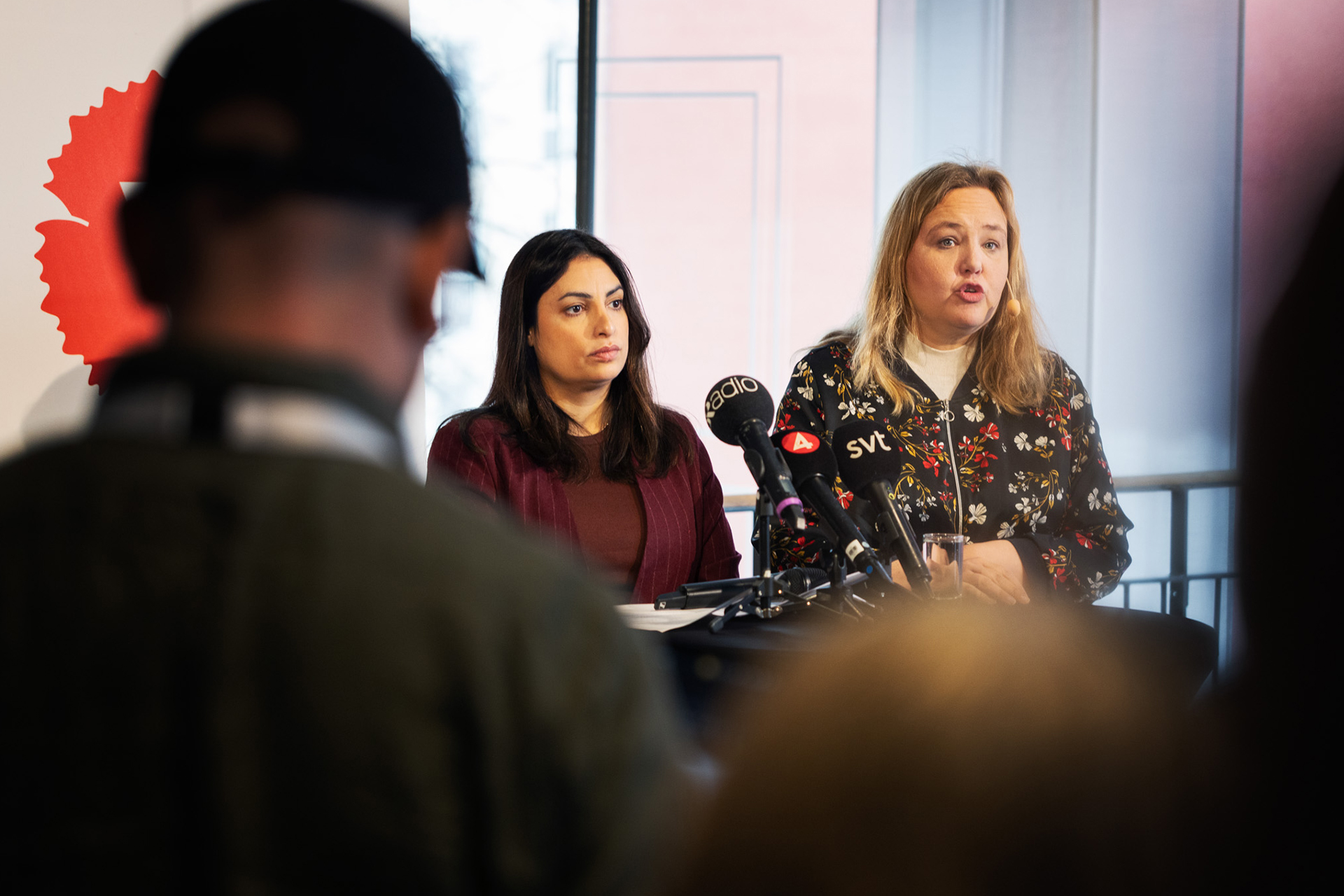 V vill införa högkostnadsskydd för tandvården